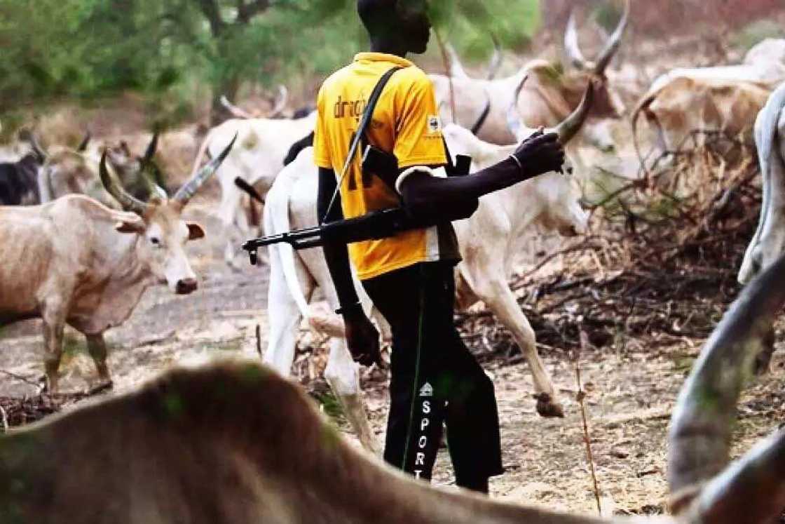 Fulani herdsmen kill 6 in Benue community again Fulani herdsmen kill 6 in Benue community again