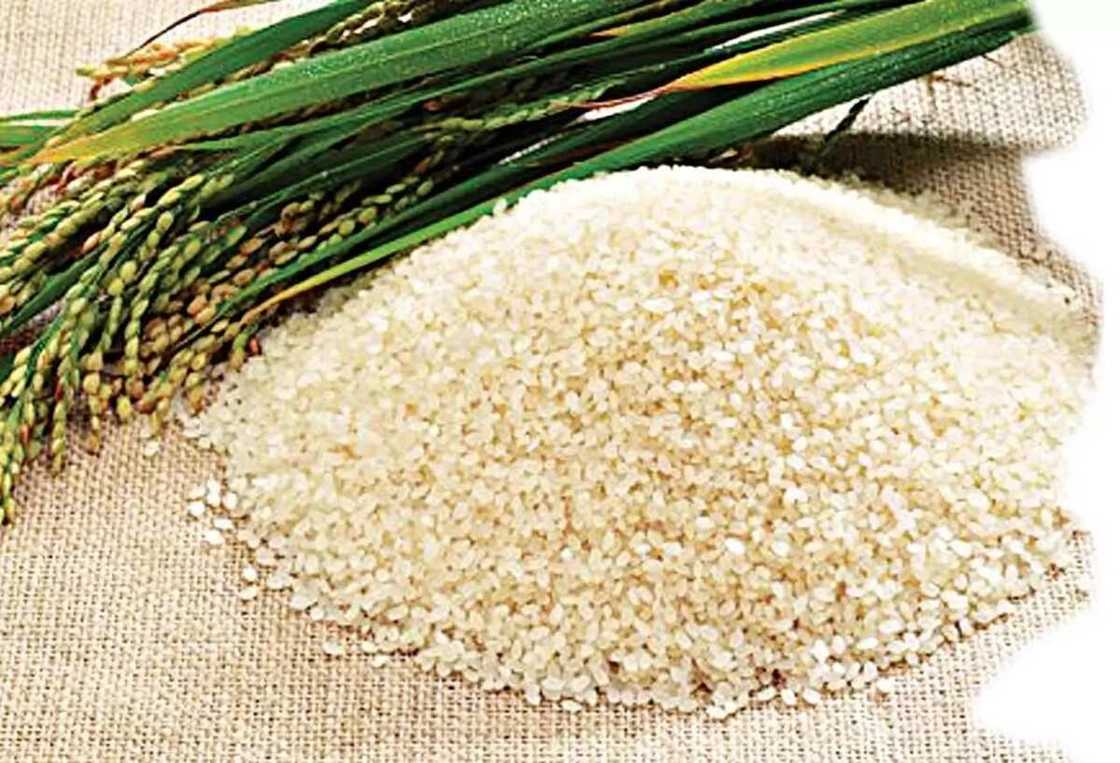 Benefits and challenges of rice farming business in Nigeria Benefits and challenges of rice farming business in Nigeria