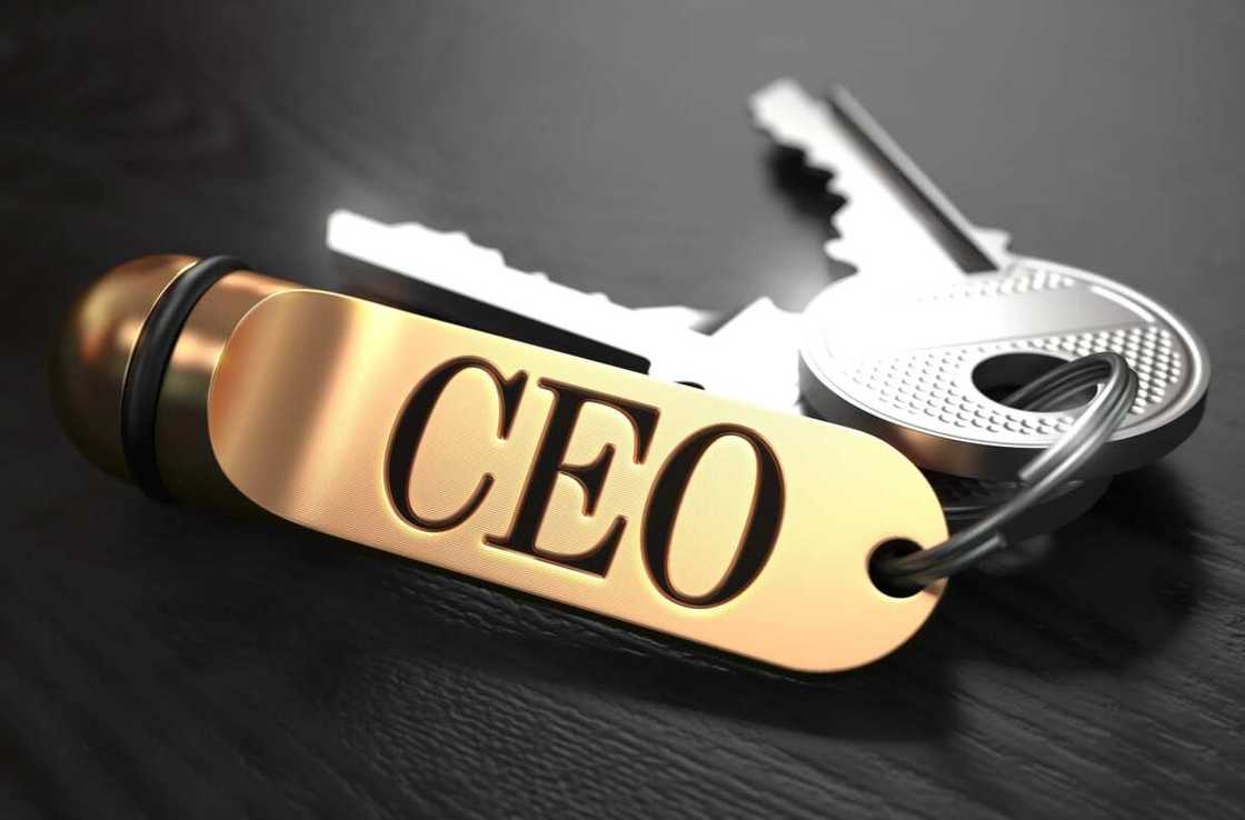 highest paid CEO in Nigeria highest paid CEO in Nigeria