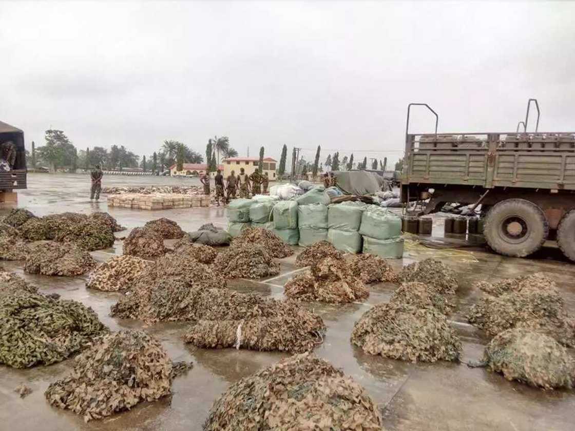 Exercise crocodile has this SECRET mission (photos) Exercise crocodile has this SECRET mission (photos)