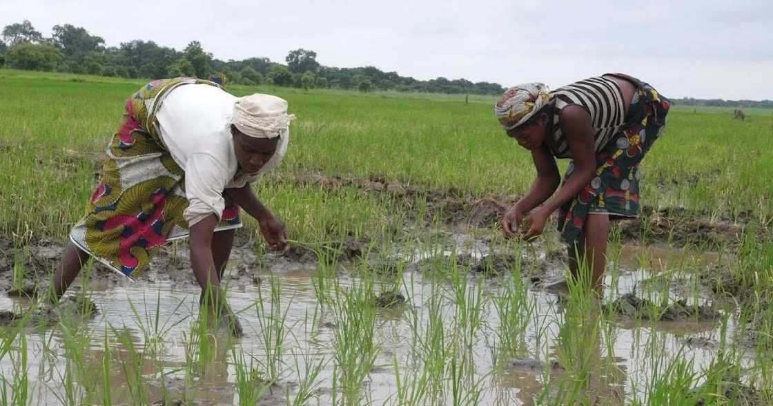 Problems of Land Use Act in Nigeria Problems of Land Use Act in Nigeria