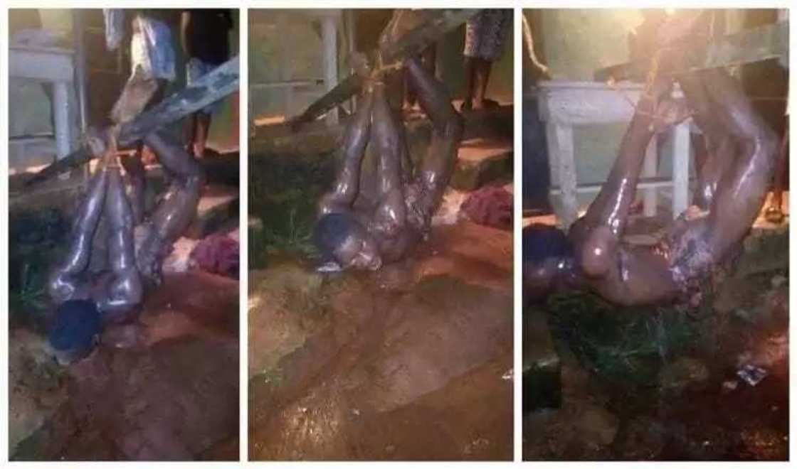 Barawao ya yaba ma aya zaki a hannun jama’a Barawao ya yaba ma aya zaki a hannun jama’a