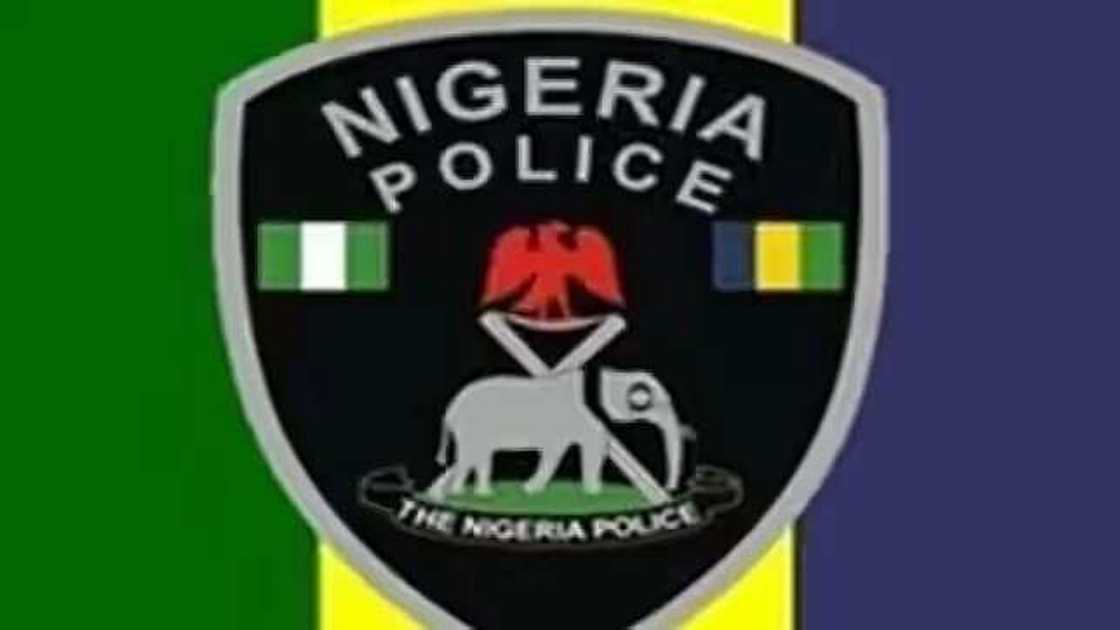 An kama Jarumin Nolly wood An kama Jarumin Nolly wood