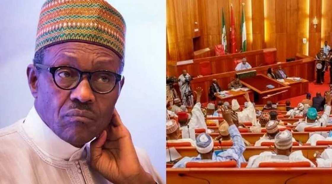 Sanatan da ya fara kiran tsige Buhari ya sha rankwashi wurin wani matashi