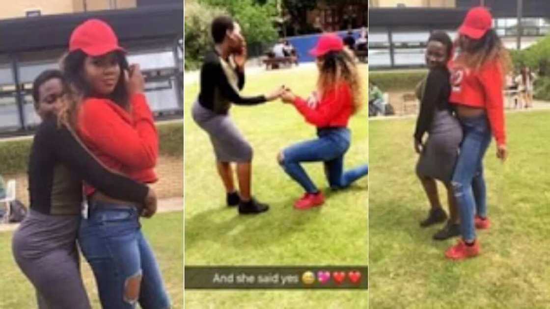 WAWU! Nigerian girl goes on her knees to propose to her girlfriend (photos) WAWU! Nigerian girl goes on her knees to propose to her girlfriend (photos)