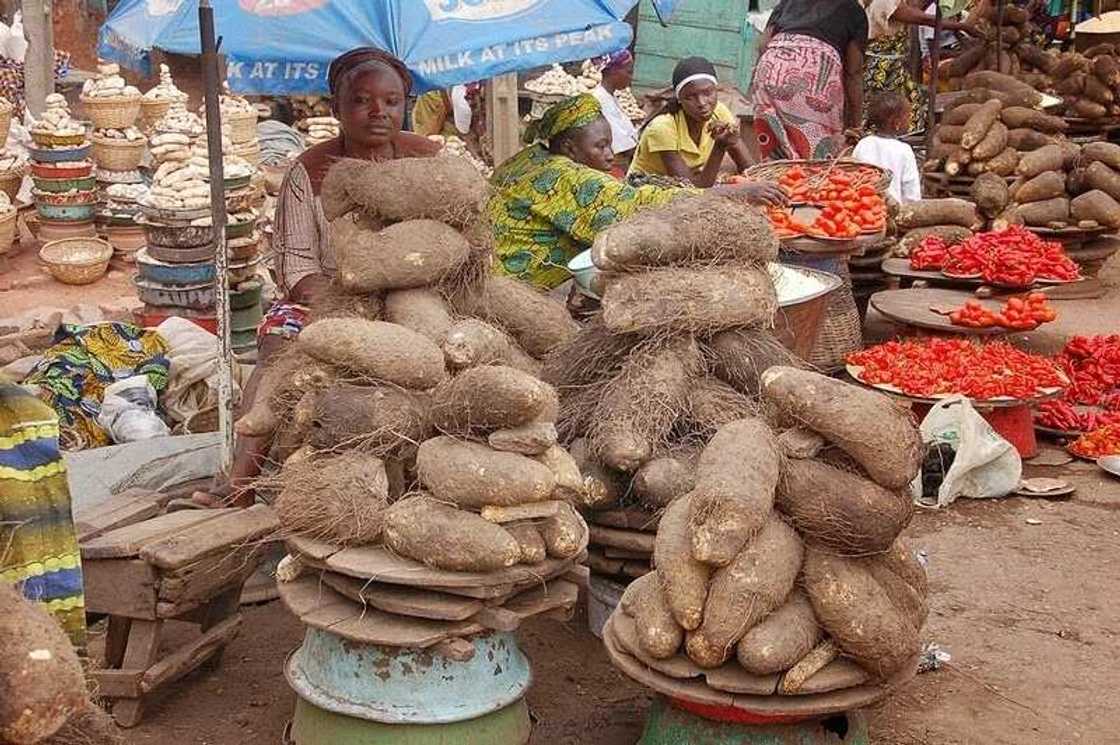 Flood Crisis in Some States to Force Nigeria's Inflation Rate Higher Flood Crisis in Some States to Force Nigeria's Inflation Rate Higher