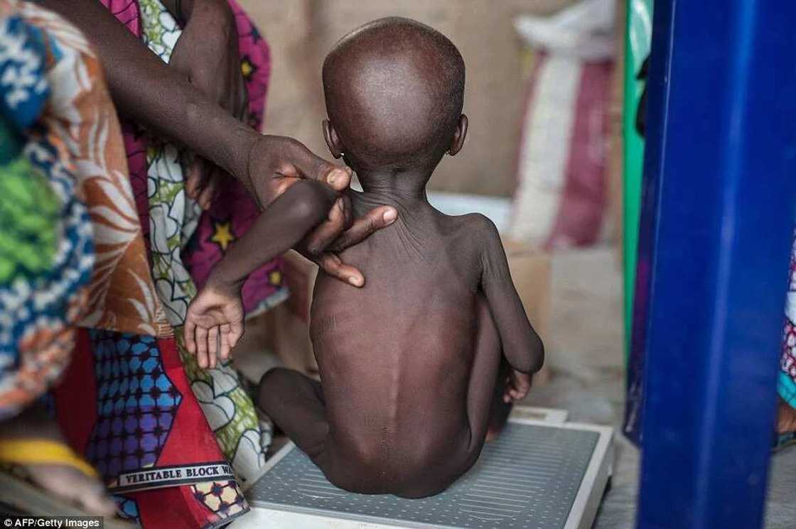 Malnutrition crisis hits IDP camps in Borno Malnutrition crisis hits IDP camps in Borno