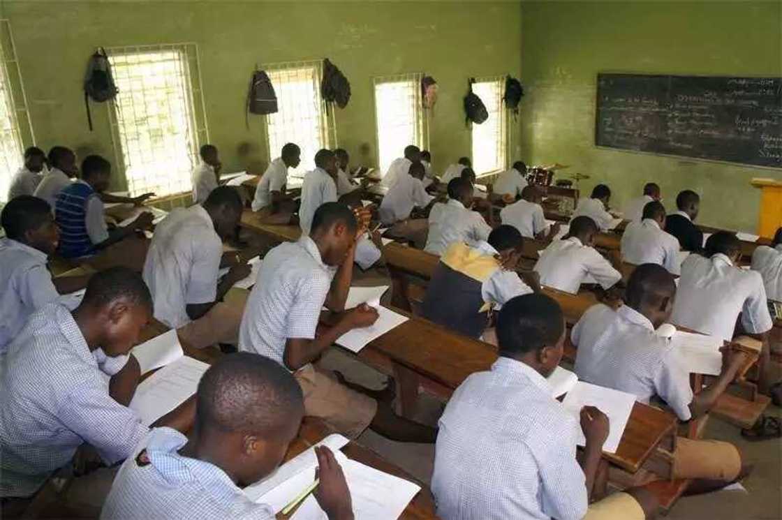 The students write an exam