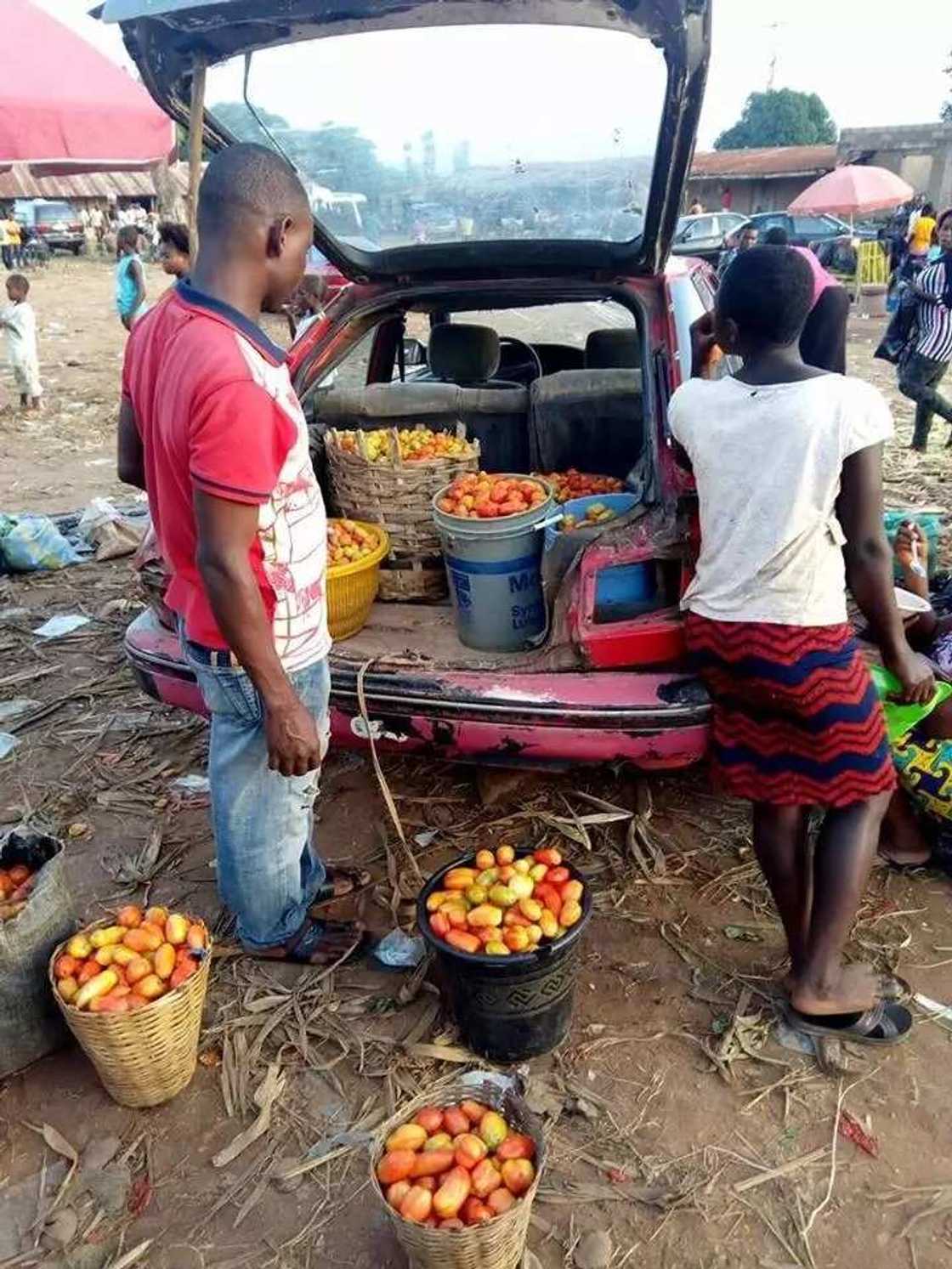 Ga koshi ga kwanan yunwa: Yadda wahalar manoman Najeriya ke tafiya a banza, duba hotuna Ga koshi ga kwanan yunwa: Yadda wahalar manoman Najeriya ke tafiya a banza, duba hotuna