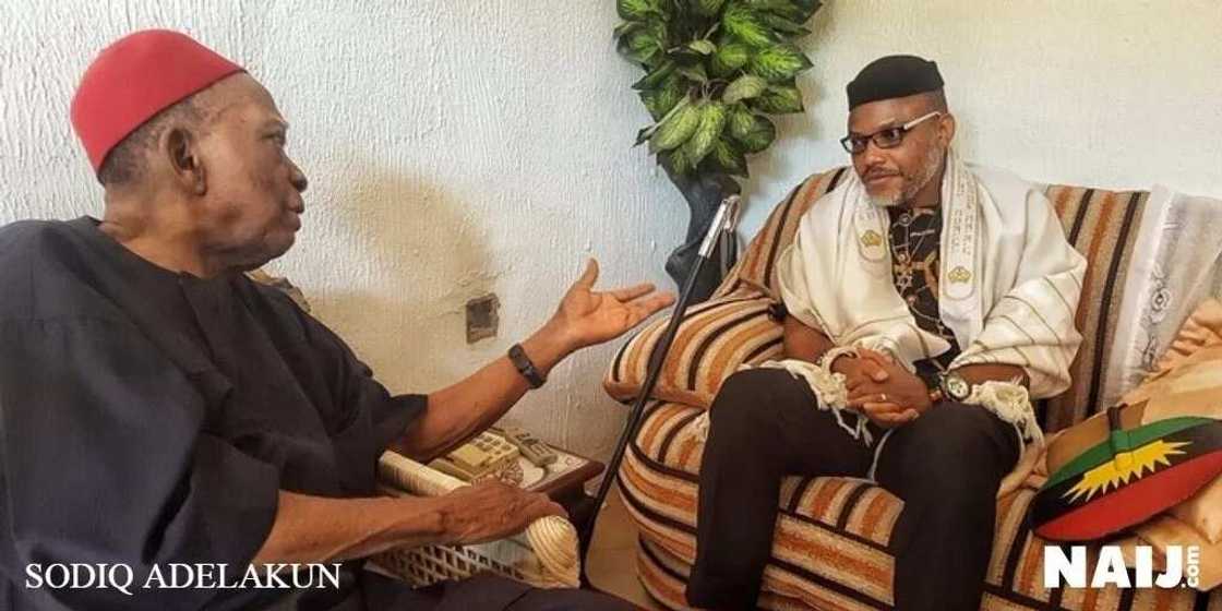 Biafra: Igbo elites have woken from their slumber - Nnamdi Kanu Biafra: Igbo elites have woken from their slumber - Nnamdi Kanu