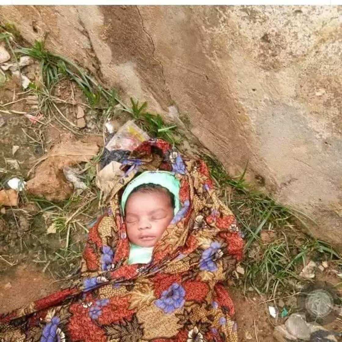 Kalli hotan kyakkyawan jaririn da aka jefar a Bola Kalli hotan kyakkyawan jaririn da aka jefar a Bola