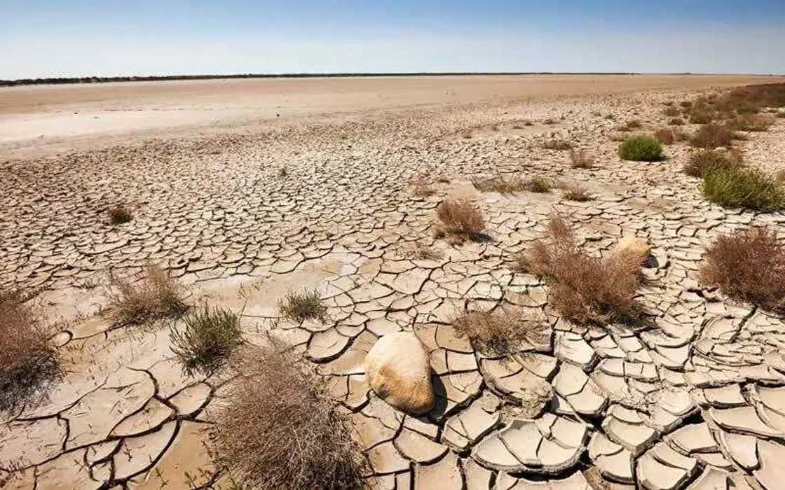 Desertification Desertification