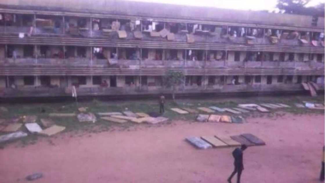 See the living conditions of some Obafemi Awolowo University students (photos)