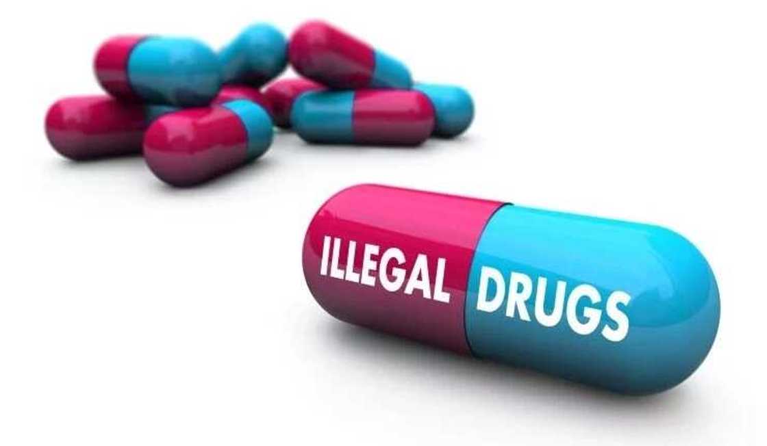 Assha! Madarar sukudaye ta yi sanadiyyar ajalin wani matashi a Zariya Assha! Madarar sukudaye ta yi sanadiyyar ajalin wani matashi a Zariya