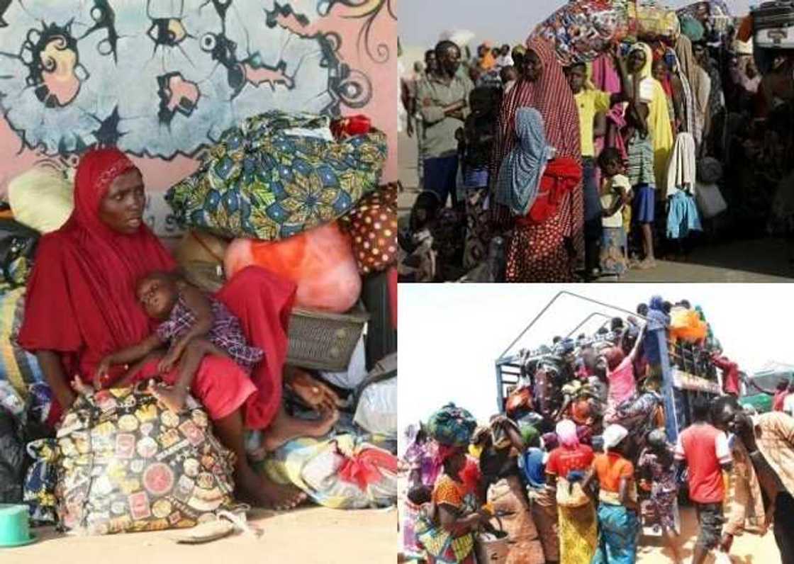 Cameroonian government deported 517 Nigerians, 313 asylum seekers included Cameroonian government deported 517 Nigerians, 313 asylum seekers included