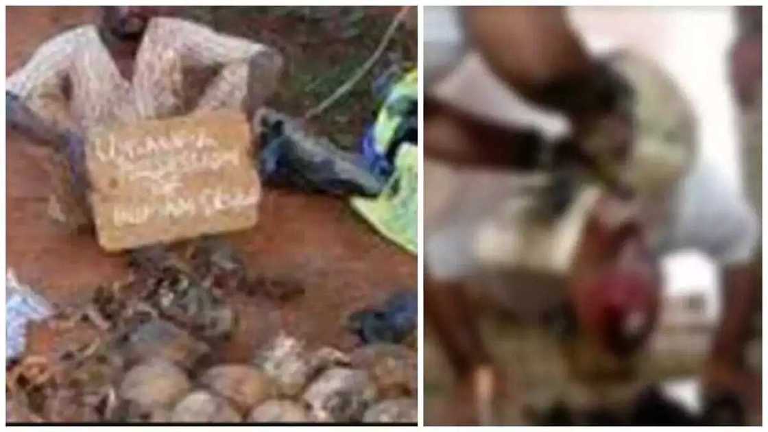 Maza 4 da budurwa 1 masu yankan kai sun shiga komar Ýansanda Maza 4 da budurwa 1 masu yankan kai sun shiga komar Ýansanda