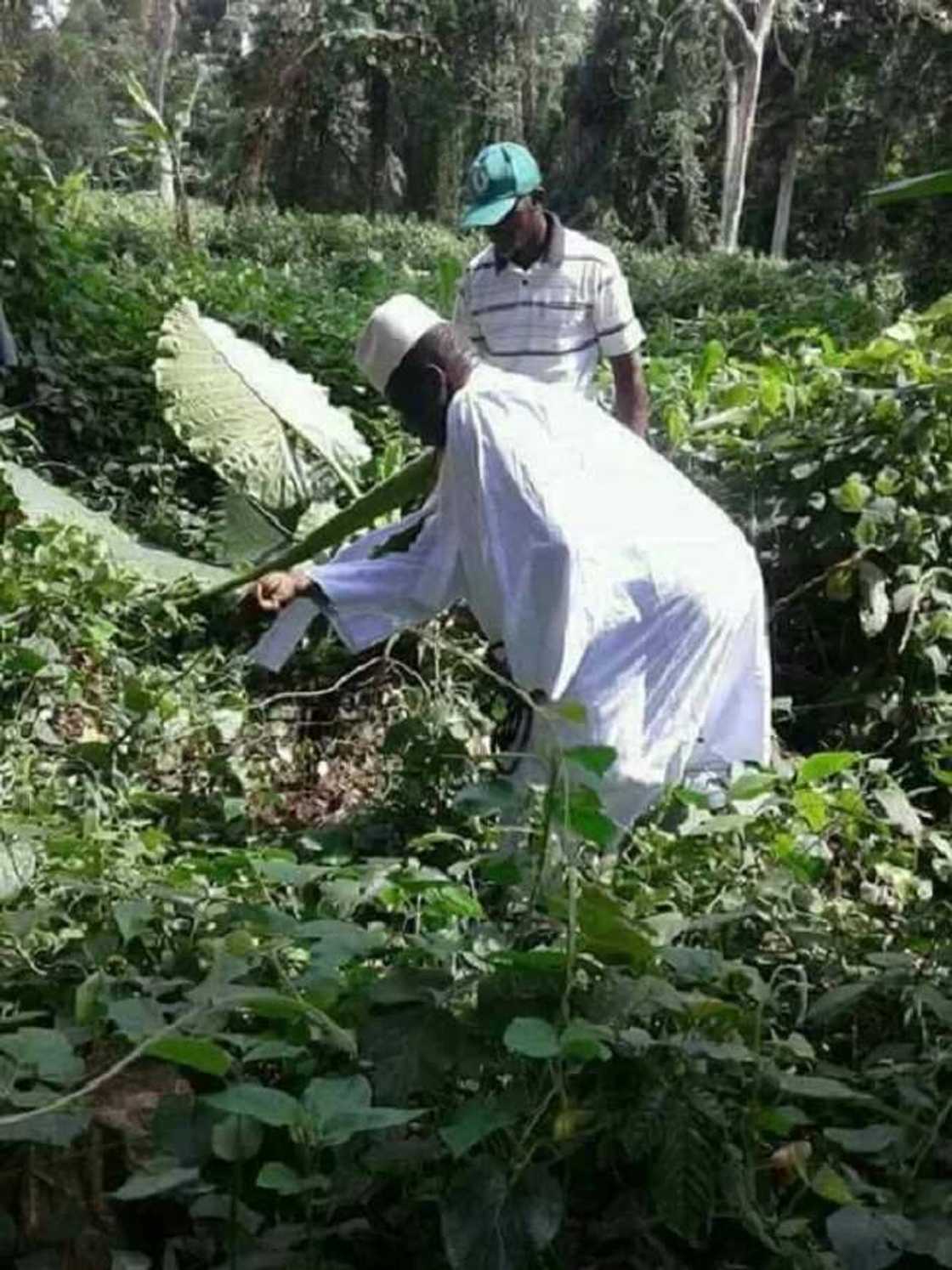 Tsohon shugaban Gambia, Yahaya Jammeh ya koma gona