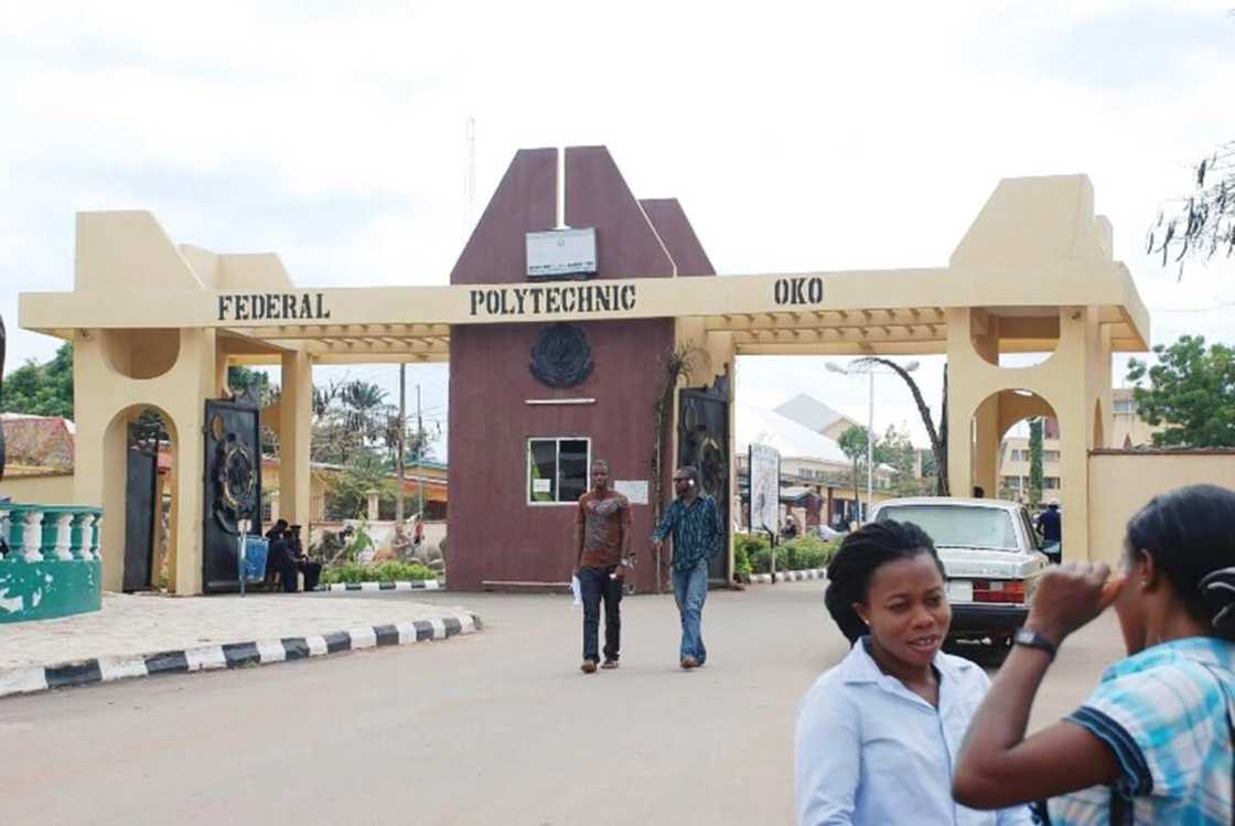 Oko Poly school fees and acceptance fee Oko Poly school fees and acceptance fee