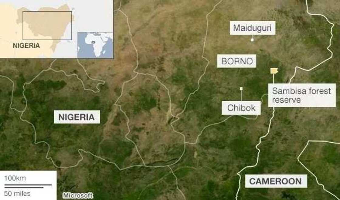 How safe is Sambisa forest now? How safe is Sambisa forest now?
