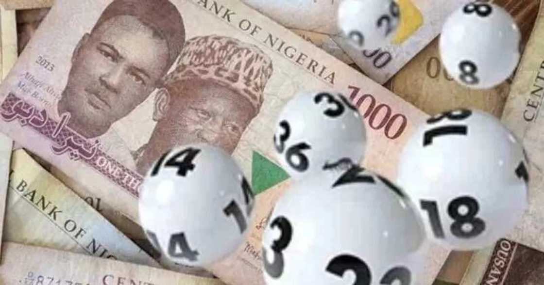 How to check winning Baba Ijebu lotto result How to check winning Baba Ijebu lotto result