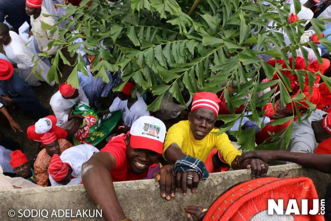 2019: Kwankwaso ya kwace birnin tarayya yayinda yake kaddamar da yakin zabe a yau