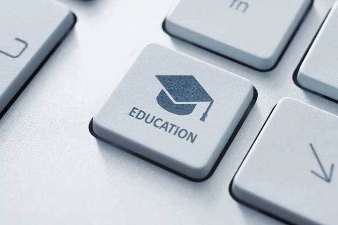 education schools education schools