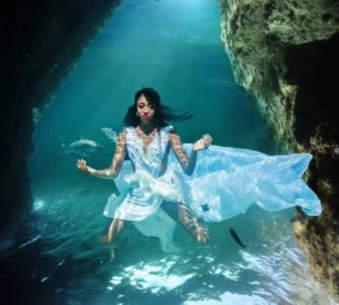 Check out these pictures taken at Yankari games reserve Check out these pictures taken at Yankari games reserve