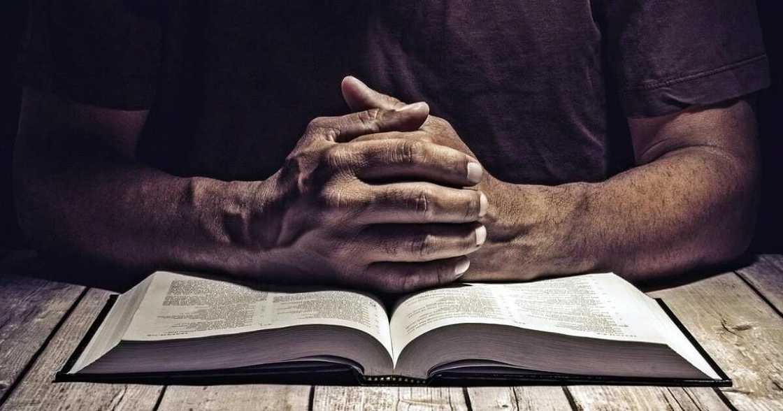 The Bible in our life The Bible in our life