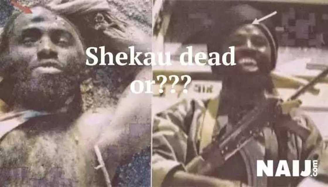Shekau is dead - Nigerian Army Shekau is dead - Nigerian Army