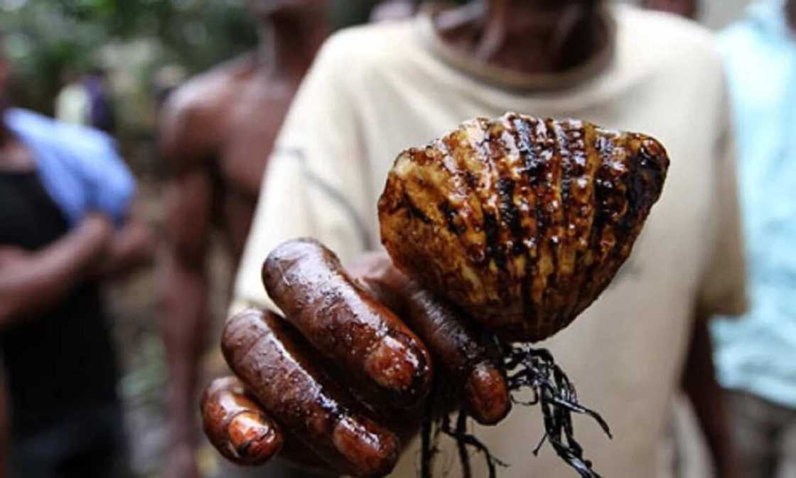 official oil production official oil production