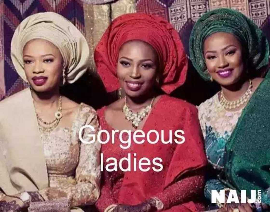 Hadaddun hotuna 10 na kyawawan ‘ya’yan masu kudin Arewa Hadaddun hotuna 10 na kyawawan ‘ya’yan masu kudin Arewa