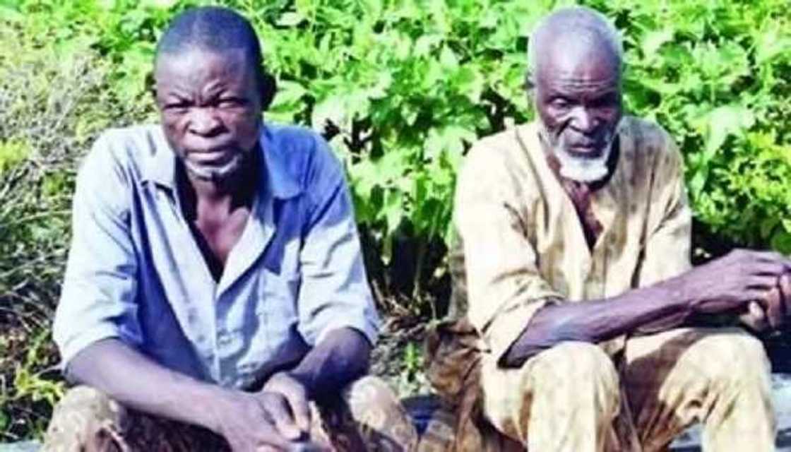 Kaicho! Dattijo dan shekara 80 ya nakada wa uwarsa mai shekaru 100 duka har lahira Kaicho! Dattijo dan shekara 80 ya nakada wa uwarsa mai shekaru 100 duka har lahira
