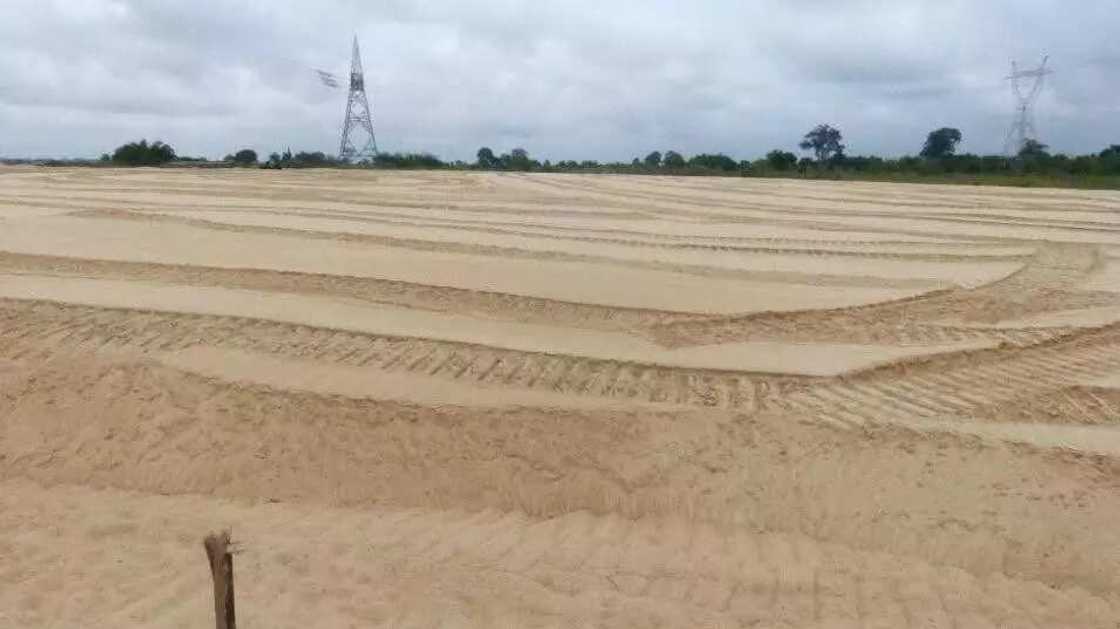 Photos: Amazing Look Of The Second Niger Bridge Photos: Amazing Look Of The Second Niger Bridge
