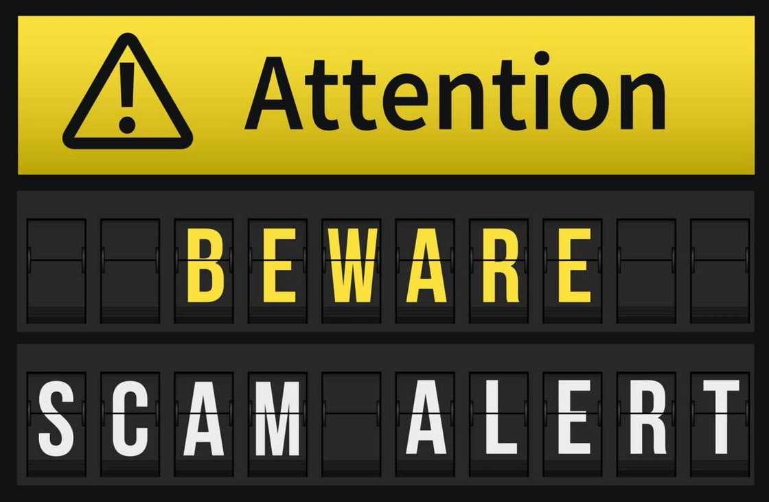 scams scams