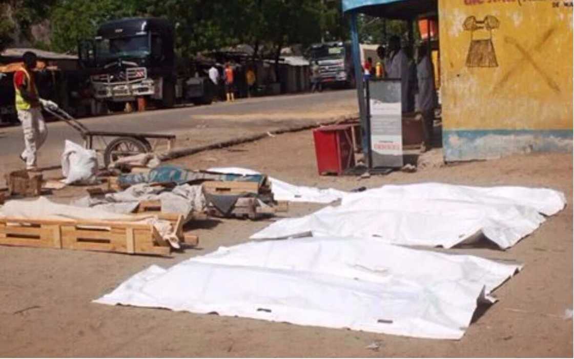 Boko Haram strikes again on Cameroon-Nigeria border,16 dead Boko Haram strikes again on Cameroon-Nigeria border,16 dead