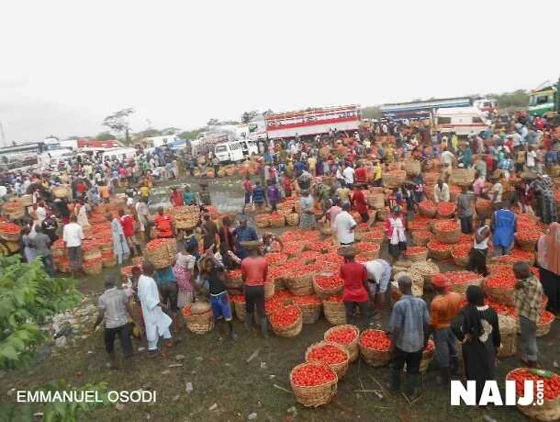 Hausa traders relocate to unhealthy location after crisis Hausa traders relocate to unhealthy location after crisis
