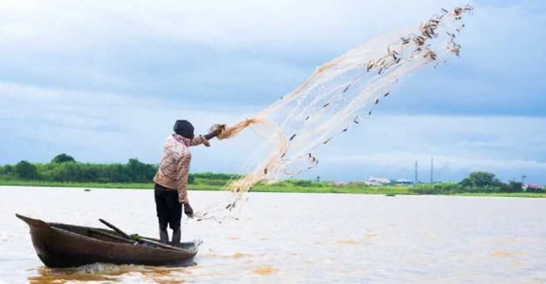 Fishing in Bayelsa