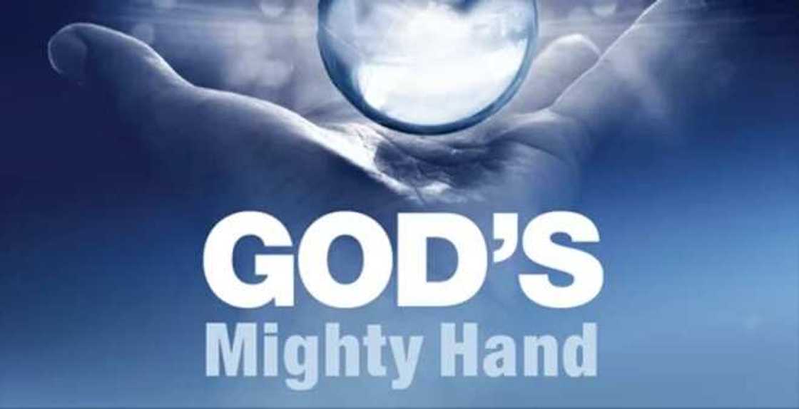 Olowogbogboro Olowogbogboro