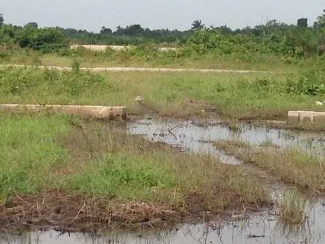 10 Most Fraudulent Places To Buy A Land In Lagos 10 Most Fraudulent Places To Buy A Land In Lagos