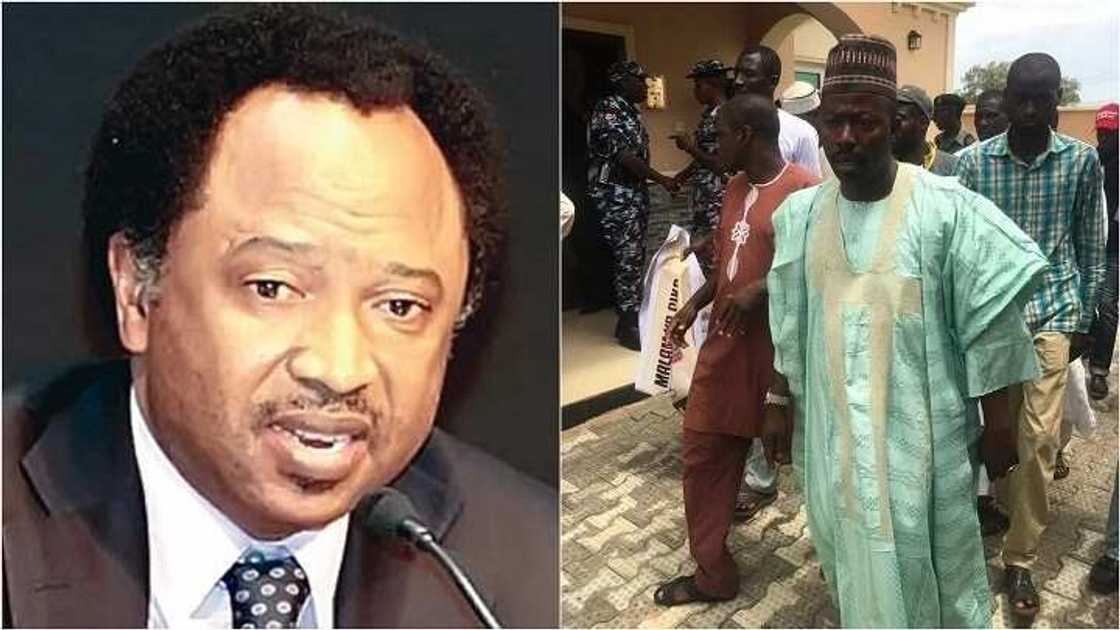 Wani dan majalisa ya sanya tukuicin N5,000,000 ga duk wanda ya yanko masa gashin Shehu Sani Wani dan majalisa ya sanya tukuicin N5,000,000 ga duk wanda ya yanko masa gashin Shehu Sani