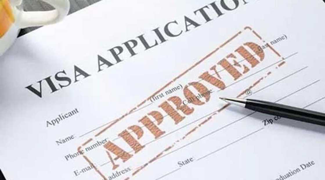 USA visa application USA visa application