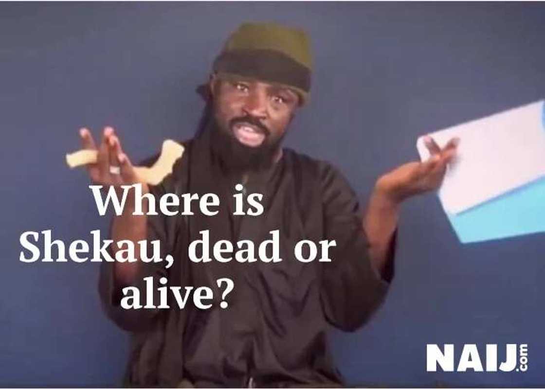 Controversial death: 5 times BH leader Shekau has been killed Controversial death: 5 times BH leader Shekau has been killed