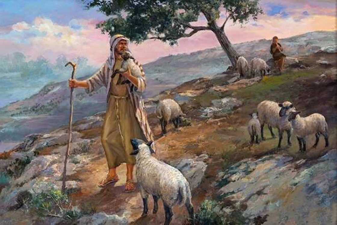 Shepherd Moses Shepherd Moses