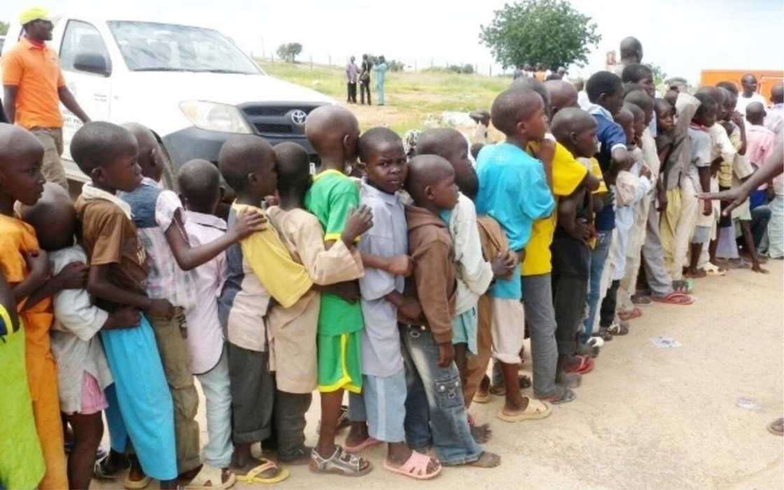 Boko Haram: A 2019, yara 1,115 suka mutu saboda tsananin yunwa a Borno - UNICEF Boko Haram: A 2019, yara 1,115 suka mutu saboda tsananin yunwa a Borno - UNICEF