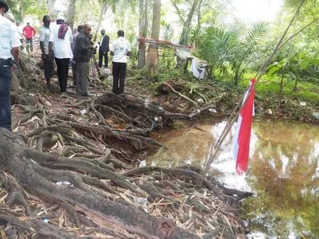 It is said that the river ethiope springs from the roots of a tree