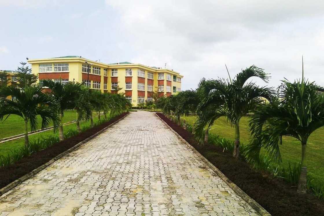 Greensprings School Anthony Campus Greensprings School Anthony Campus