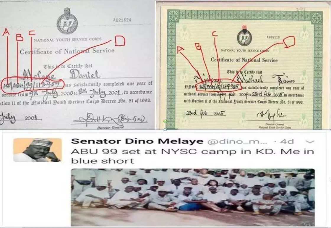Certificate scandal: See 7 incontrovertible facts that nailed Dino Melaye Certificate scandal: See 7 incontrovertible facts that nailed Dino Melaye