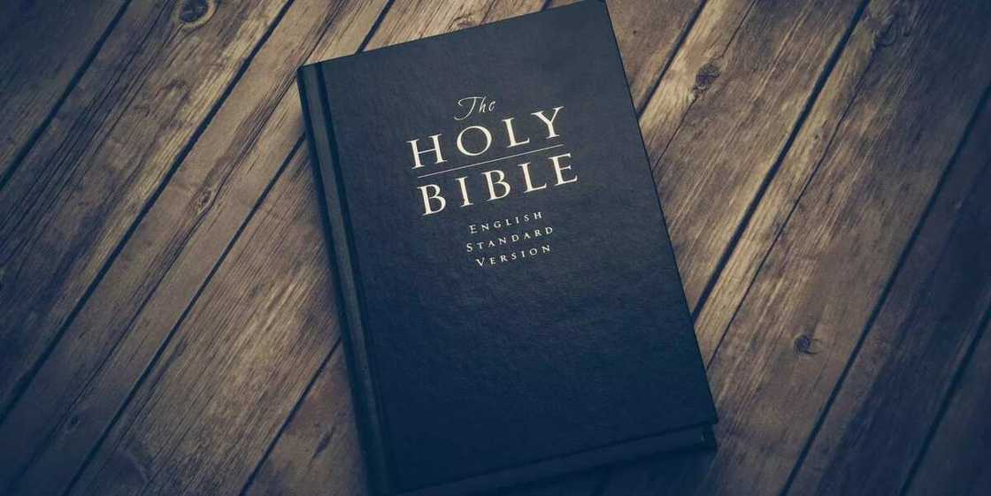 The Bible is for all believers