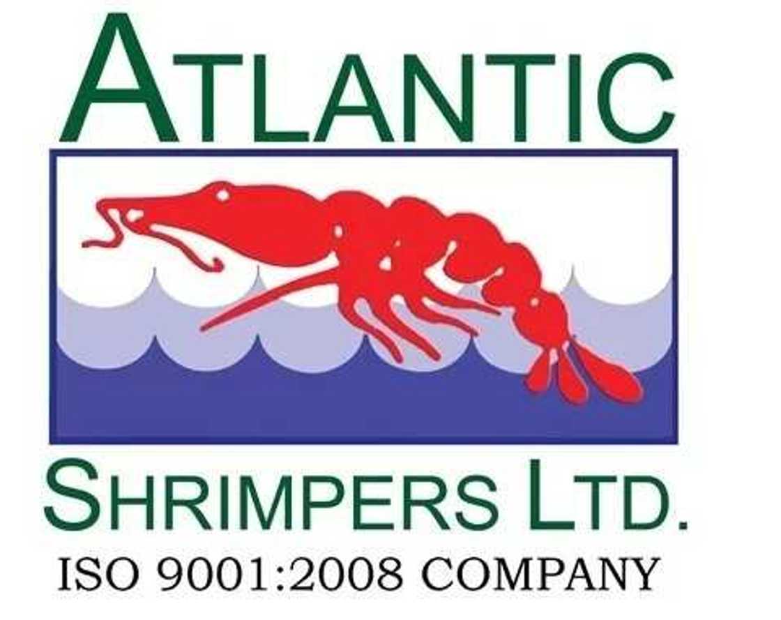 Atlantic Shrimpers Ltd unveils largest shrimp farm in Sub-Saharan Africa Atlantic Shrimpers Ltd unveils largest shrimp farm in Sub-Saharan Africa