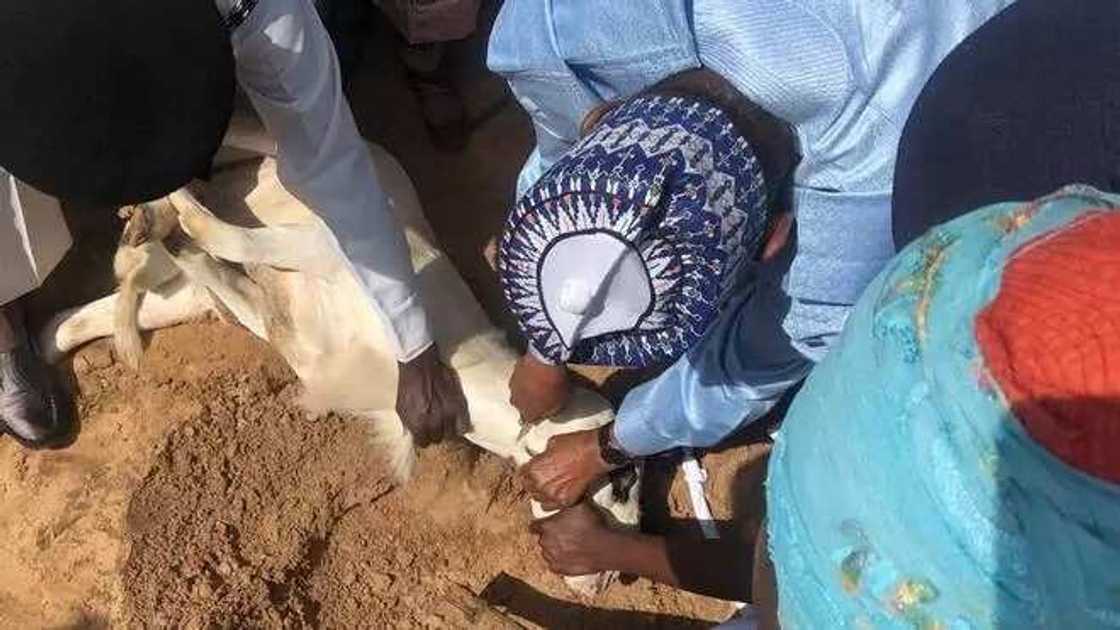 Sallah: Buhari ya yi layya, hotuna Sallah: Buhari ya yi layya, hotuna